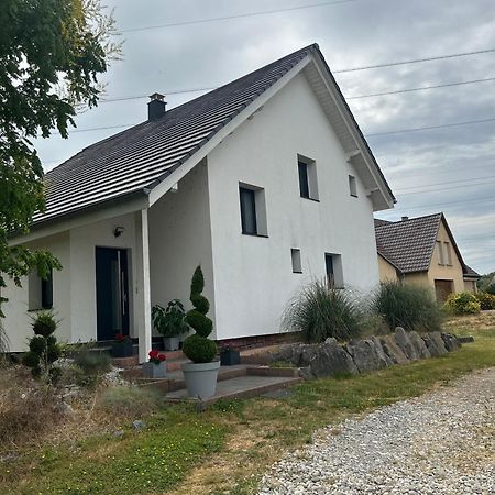 Colmar Cote Rhin Appartamento Biesheim Esterno foto