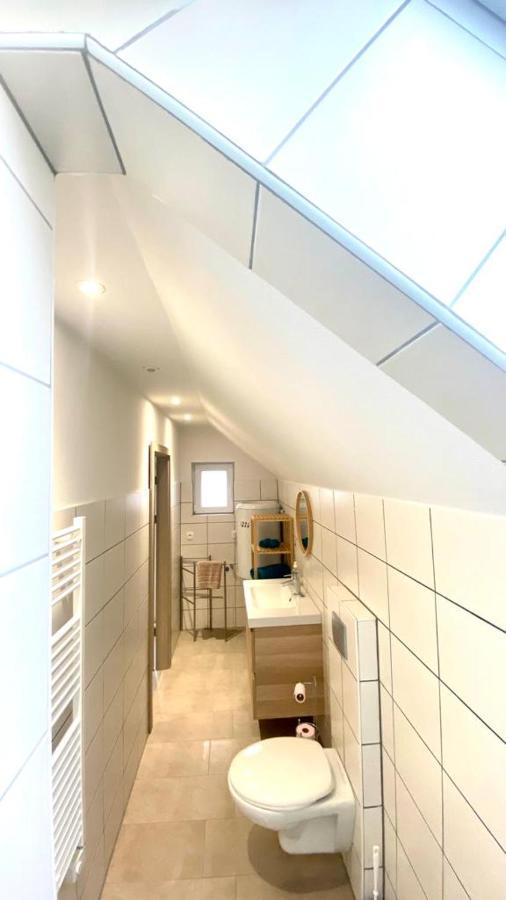 Colmar Cote Rhin Appartamento Biesheim Esterno foto