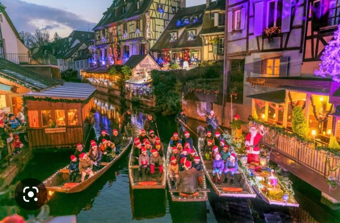 Colmar Cote Rhin Appartamento Biesheim Esterno foto