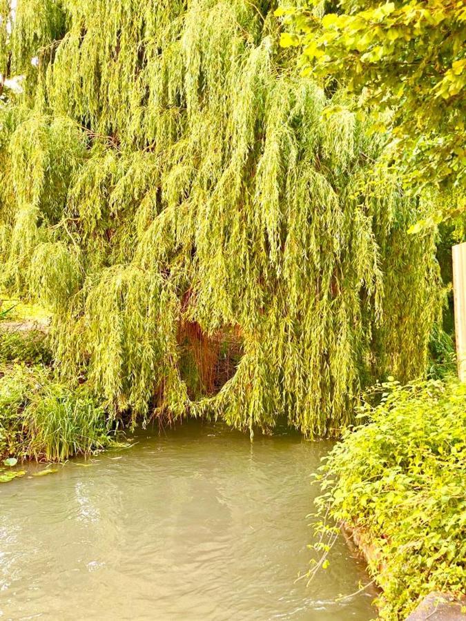 Colmar Cote Rhin Appartamento Biesheim Esterno foto